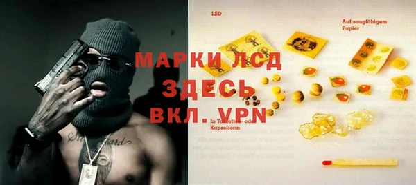 прущие грибы Бородино