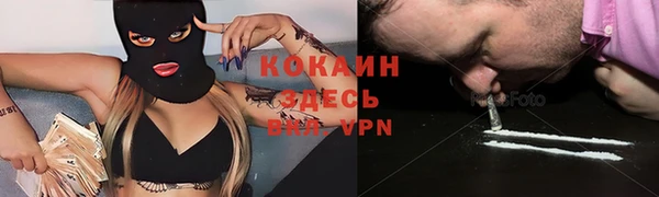 прущие грибы Бородино