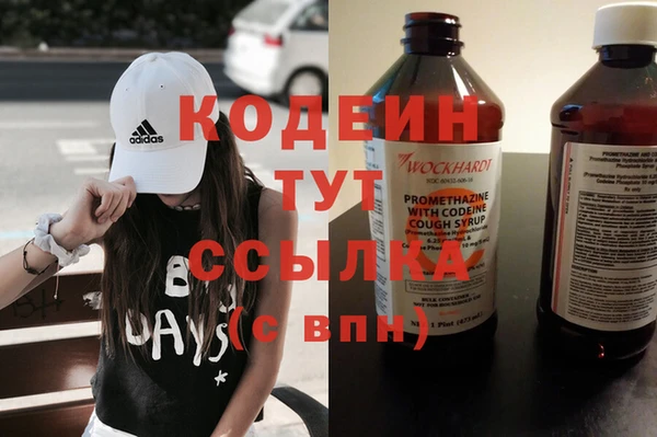 прущие грибы Бородино