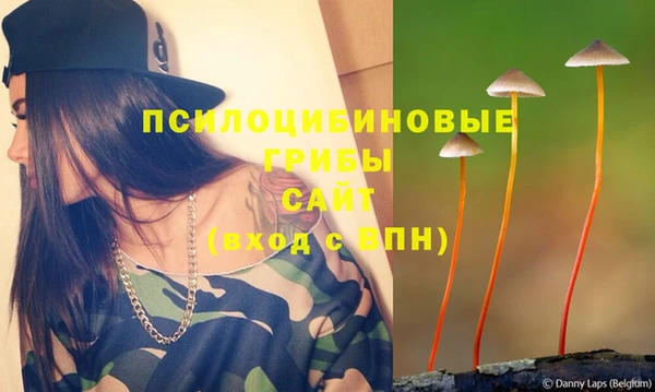 прущие грибы Бородино
