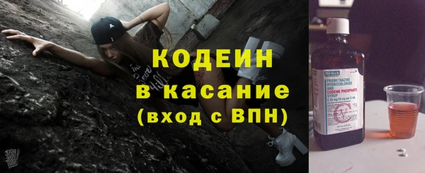 прущие грибы Бородино