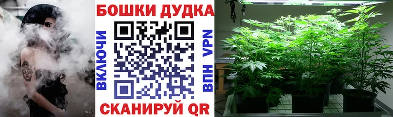 Конопля MAZAR  купить наркотик  Вуктыл 